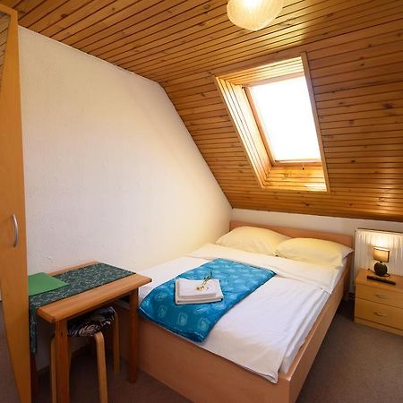 Penzion Vila Bistrica Бохінська Бістріца Екстер'єр фото